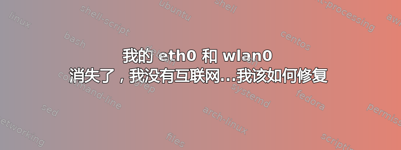 我的 eth0 和 wlan0 消失了，我没有互联网...我该如何修复