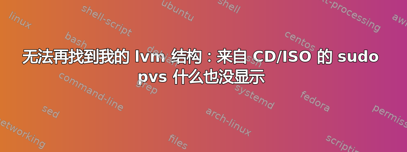 无法再找到我的 lvm 结构：来自 CD/ISO 的 sudo pvs 什么也没显示