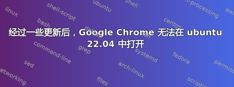 经过一些更新后，Google Chrome 无法在 ubuntu 22.04 中打开