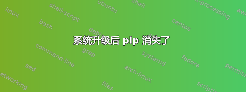 系统升级后 pip 消失了