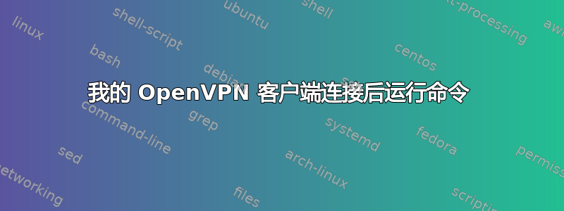 我的 OpenVPN 客户端连接后运行命令