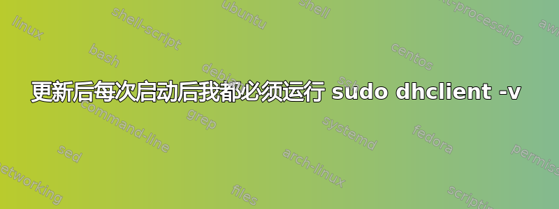 更新后每次启动后我都必须运行 sudo dhclient -v