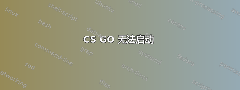 CS GO 无法启动