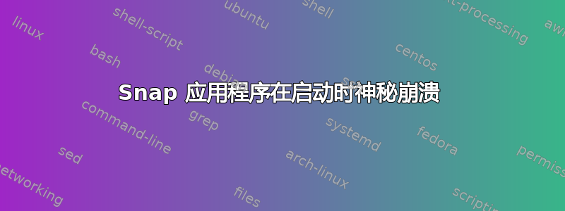 Snap 应用程序在启动时神秘崩溃