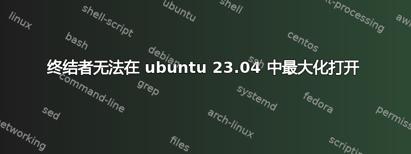 终结者无法在 ubuntu 23.04 中最大化打开