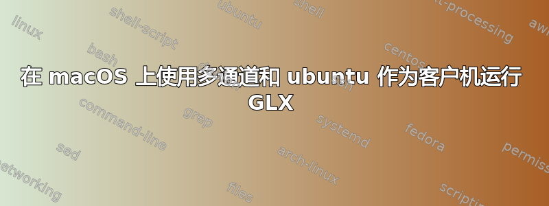 在 macOS 上使用多通道和 ubuntu 作为客户机运行 GLX