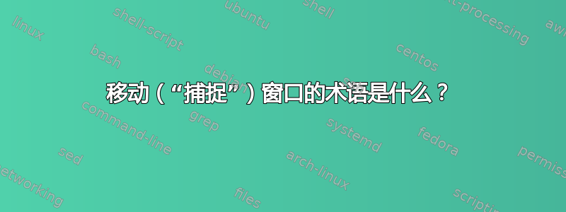 移动（“捕捉”）窗口的术语是什么？