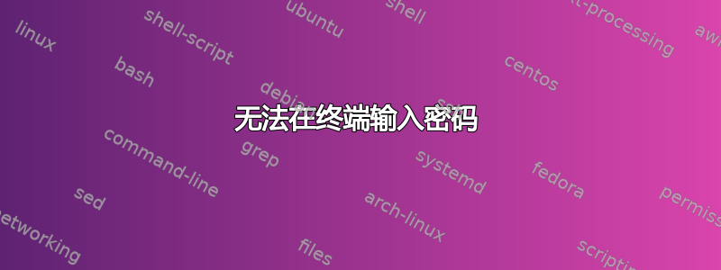 无法在终端输入密码