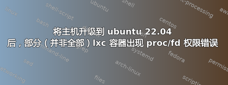 将主机升级到 ubuntu 22.04 后，部分（并非全部）lxc 容器出现 proc/fd 权限错误