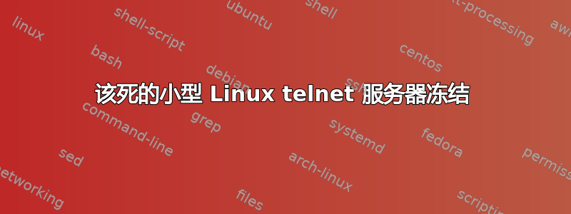 该死的小型 Linux telnet 服务器冻结