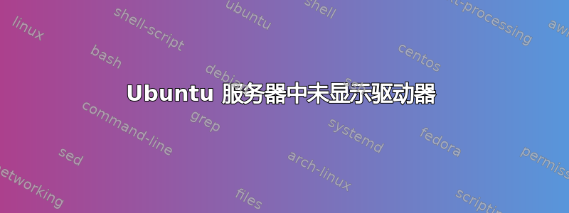 Ubuntu 服务器中未显示驱动器