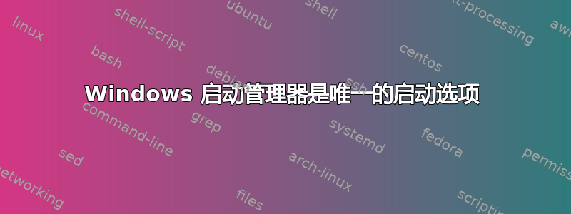 Windows 启动管理器是唯一的启动选项