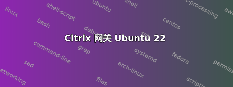 Citrix 网关 Ubuntu 22