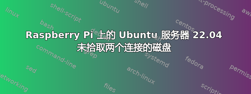 Raspberry Pi 上的 Ubuntu 服务器 22.04 未拾取两个连接的磁盘