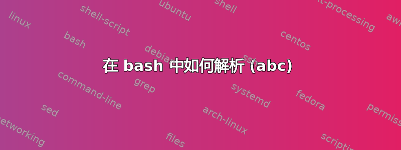 在 bash 中如何解析 (abc)