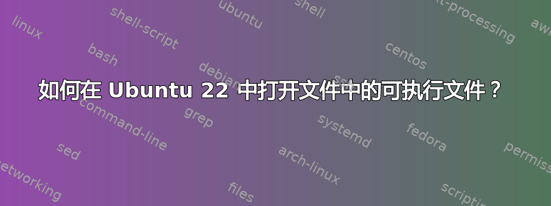 如何在 Ubuntu 22 中打开文件中的可执行文件？