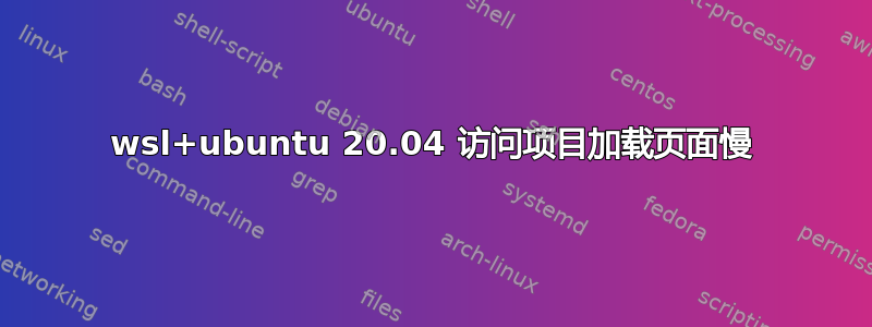 wsl+ubuntu 20.04 访问项目加载页面慢