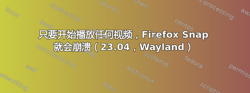 只要开始播放任何视频，Firefox Snap 就会崩溃（23.04，Wayland）