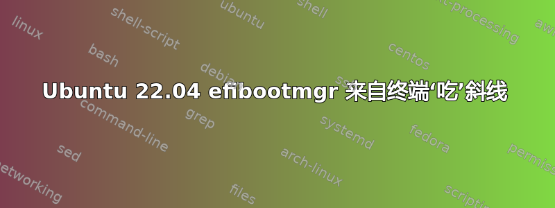 Ubuntu 22.04 efibootmgr 来自终端‘吃’斜线