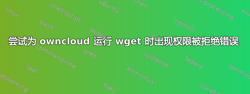 尝试为 owncloud 运行 wget 时出现权限被拒绝错误