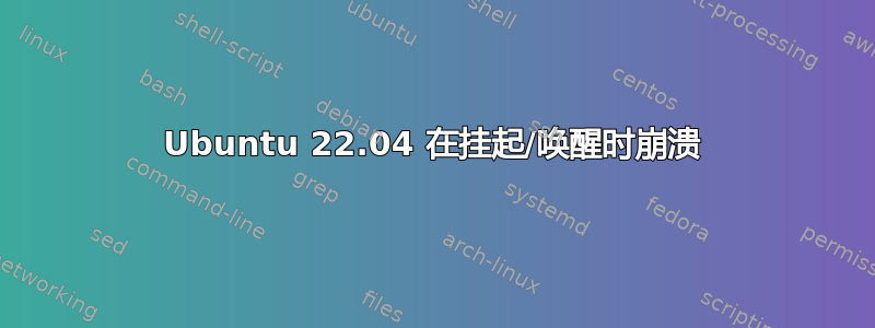 Ubuntu 22.04 在挂起/唤醒时崩溃