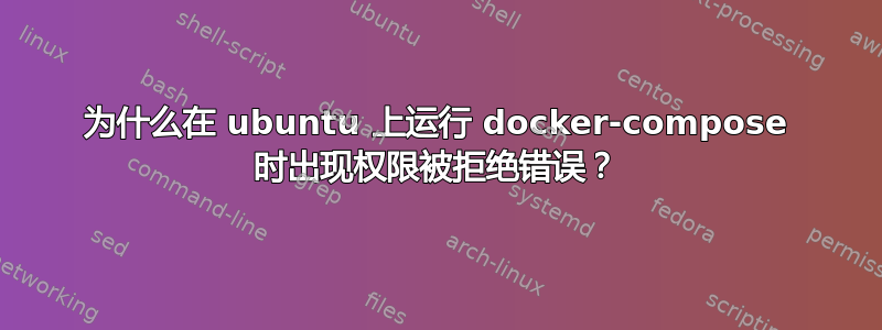 为什么在 ubuntu 上运行 docker-compose 时出现权限被拒绝错误？