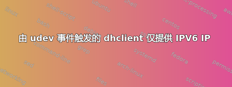 由 udev 事件触发的 dhclient 仅提供 IPV6 IP