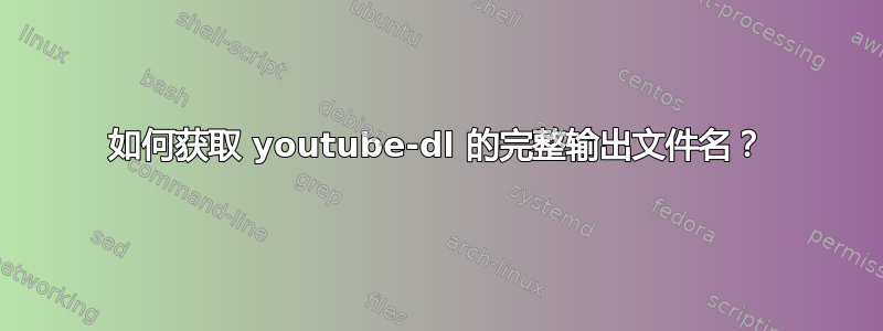 如何获取 youtube-dl 的完整输出文件名？