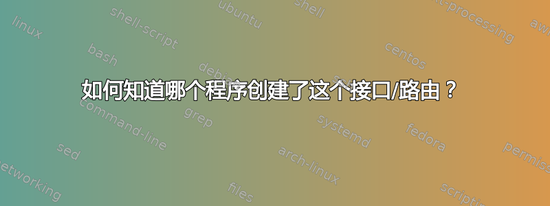 如何知道哪个程序创建了这个接口/路由？