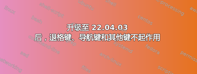 升级至 22.04.03 后，退格键、导航键和其他键不起作用