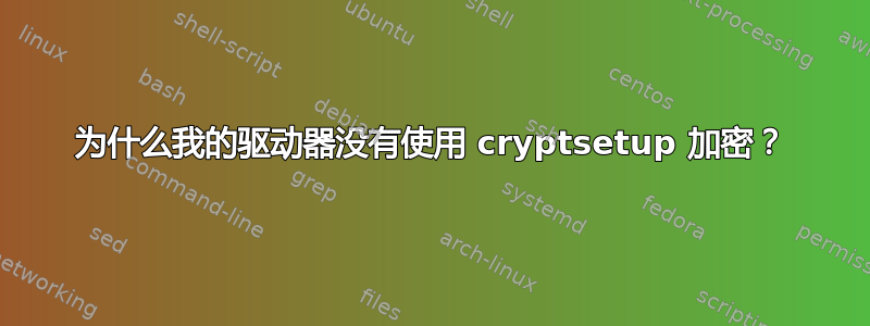 为什么我的驱动器没有使用 cryptsetup 加密？