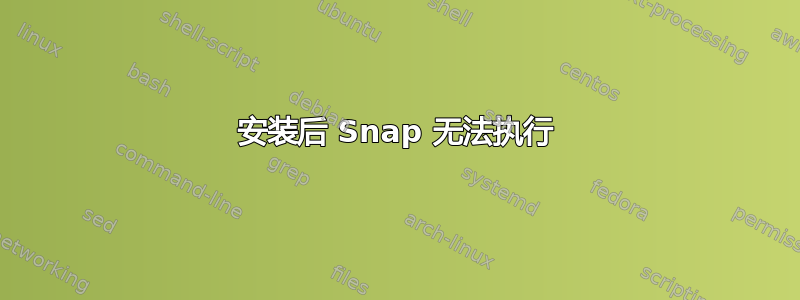 安装后 Snap 无法执行