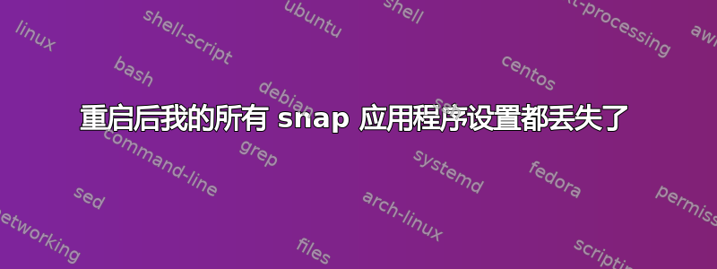 重启后我的所有 snap 应用程序设置都丢失了