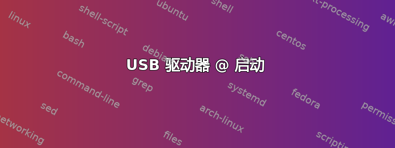 USB 驱动器 @ 启动