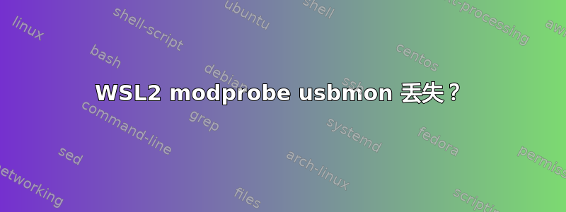 WSL2 modprobe usbmon 丢失？