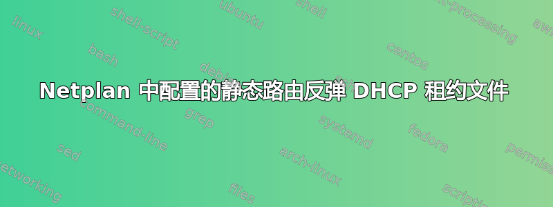 Netplan 中配置的静态路由反弹 DHCP 租约文件