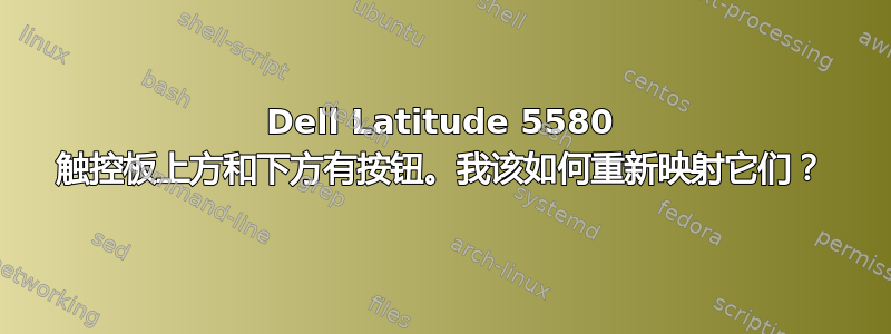 Dell Latitude 5580 触控板上方和下方有按钮。我该如何重新映射它们？