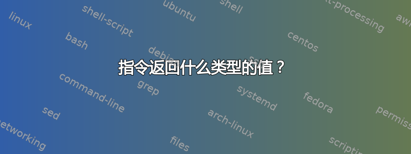 指令返回什么类型的值？