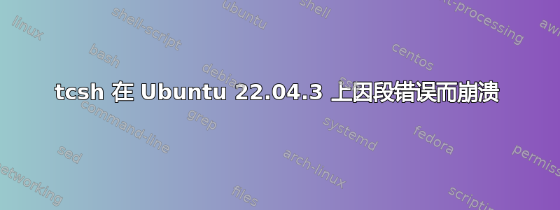 tcsh 在 Ubuntu 22.04.3 上因段错误而崩溃