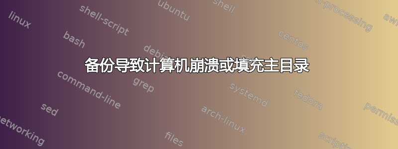 备份导致计算机崩溃或填充主目录