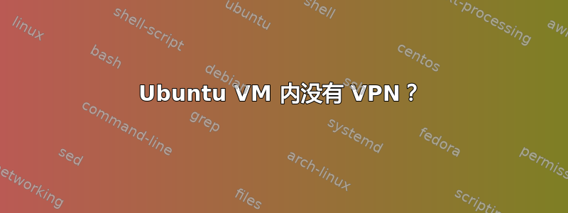 Ubuntu VM 内没有 VPN？