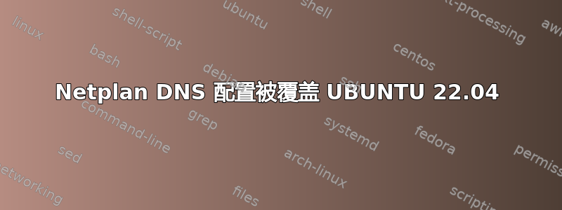 Netplan DNS 配置被覆盖 UBUNTU 22.04