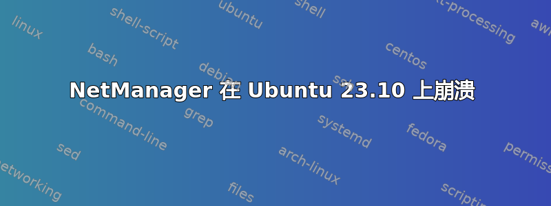 NetManager 在 Ubuntu 23.10 上崩溃