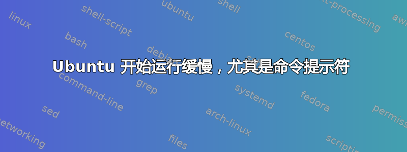 Ubuntu 开始运行缓慢，尤其是命令提示符