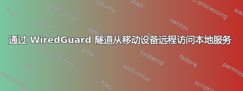 通过 WiredGuard 隧道从移动设备远程访问本地服务