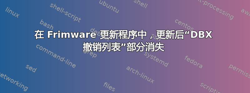 在 Frimware 更新程序中，更新后“DBX 撤销列表”部分消失