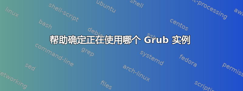 帮助确定正在使用哪个 Grub 实例