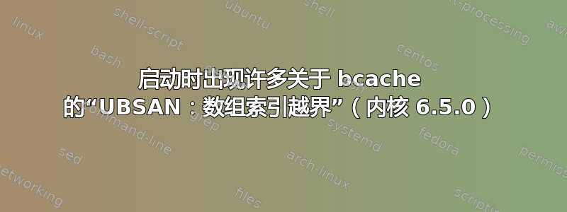 启动时出现许多关于 bcache 的“UBSAN：数组索引越界”（内核 6.5.0）