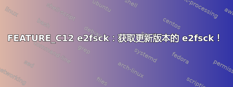 FEATURE_C12 e2fsck：获取更新版本的 e2fsck！