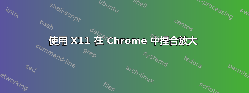 使用 X11 在 Chrome 中捏合放大